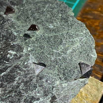 MAGNETITE CRYSTALS IN CHLORITE SCHIST : SOBUTIN, OLOMOUL REGION, CZECH REPUBLIC 302g MF4525