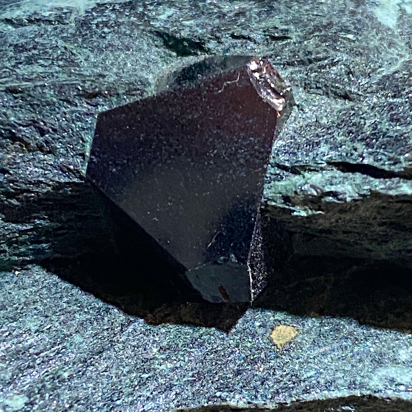 MAGNETITE CRYSTALS IN CHLORITE SCHIST : SOBUTIN, OLOMOUL REGION, CZECH REPUBLIC 302g MF4525