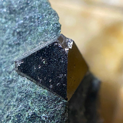 MAGNETITE CRYSTALS IN CHLORITE SCHIST : SOBUTIN, OLOMOUL REGION, CZECH REPUBLIC 302g MF4525