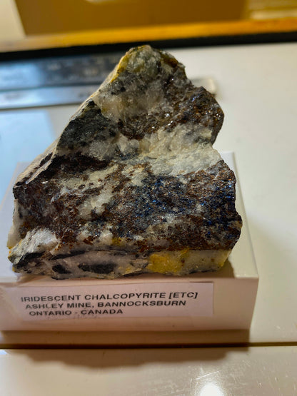 IRIDESCENT  CHALCOPYRITE [ETC] : ASHLEY MINE, ONTARIO, CANADA  171g MF517§