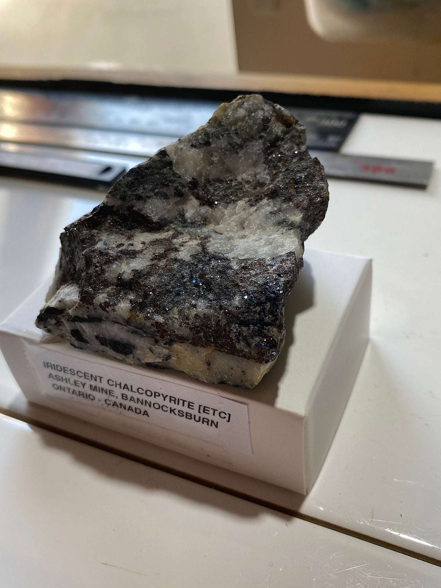IRIDESCENT  CHALCOPYRITE [ETC] : ASHLEY MINE, ONTARIO, CANADA  171g MF517§