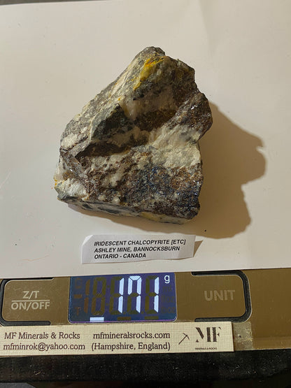 IRIDESCENT  CHALCOPYRITE [ETC] : ASHLEY MINE, ONTARIO, CANADA  171g MF517§