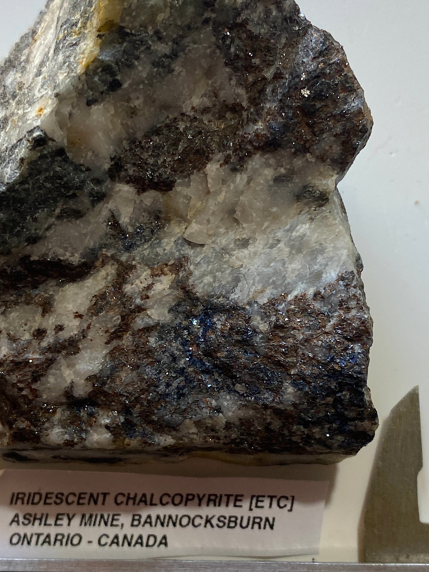 IRIDESCENT  CHALCOPYRITE [ETC] : ASHLEY MINE, ONTARIO, CANADA  171g MF517§