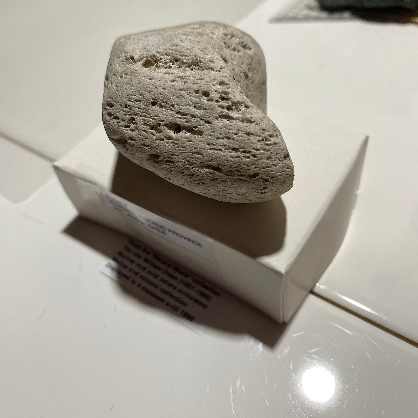 PUMICE VOLCANIC EJECTA : PUYEHUE, OSORNO, LOS LAGOS, CHILE 29g MF4528