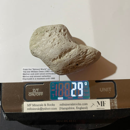 PUMICE VOLCANIC EJECTA : PUYEHUE, OSORNO, LOS LAGOS, CHILE 29g MF4528