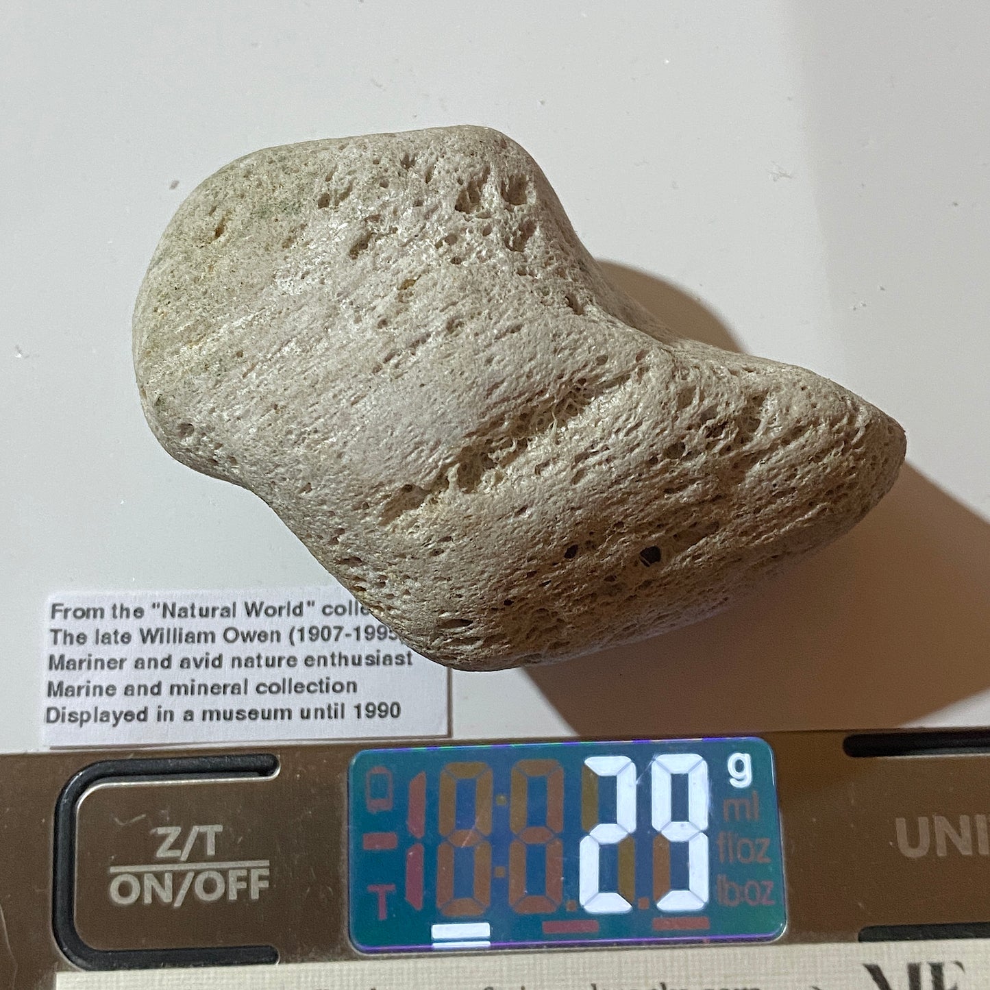 PUMICE VOLCANIC EJECTA : PUYEHUE, OSORNO, LOS LAGOS, CHILE 29g MF4528