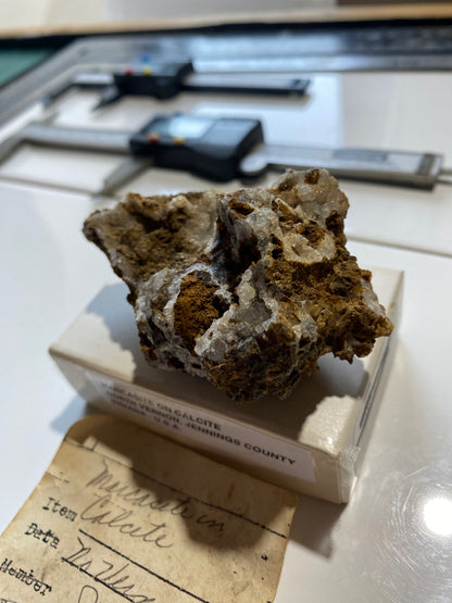 MARCASITE ON CALCITE UNUSUAL SPECIMEN FROM NORTH VERNON, INDIANA U.S.A. 77g MF5174
