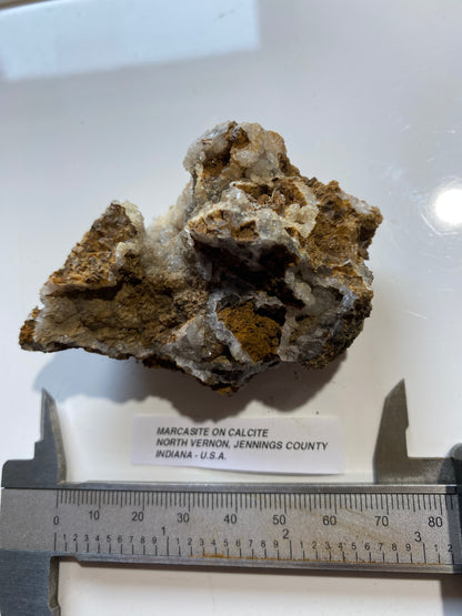 MARCASITE ON CALCITE UNUSUAL SPECIMEN FROM NORTH VERNON, INDIANA U.S.A. 77g MF5174
