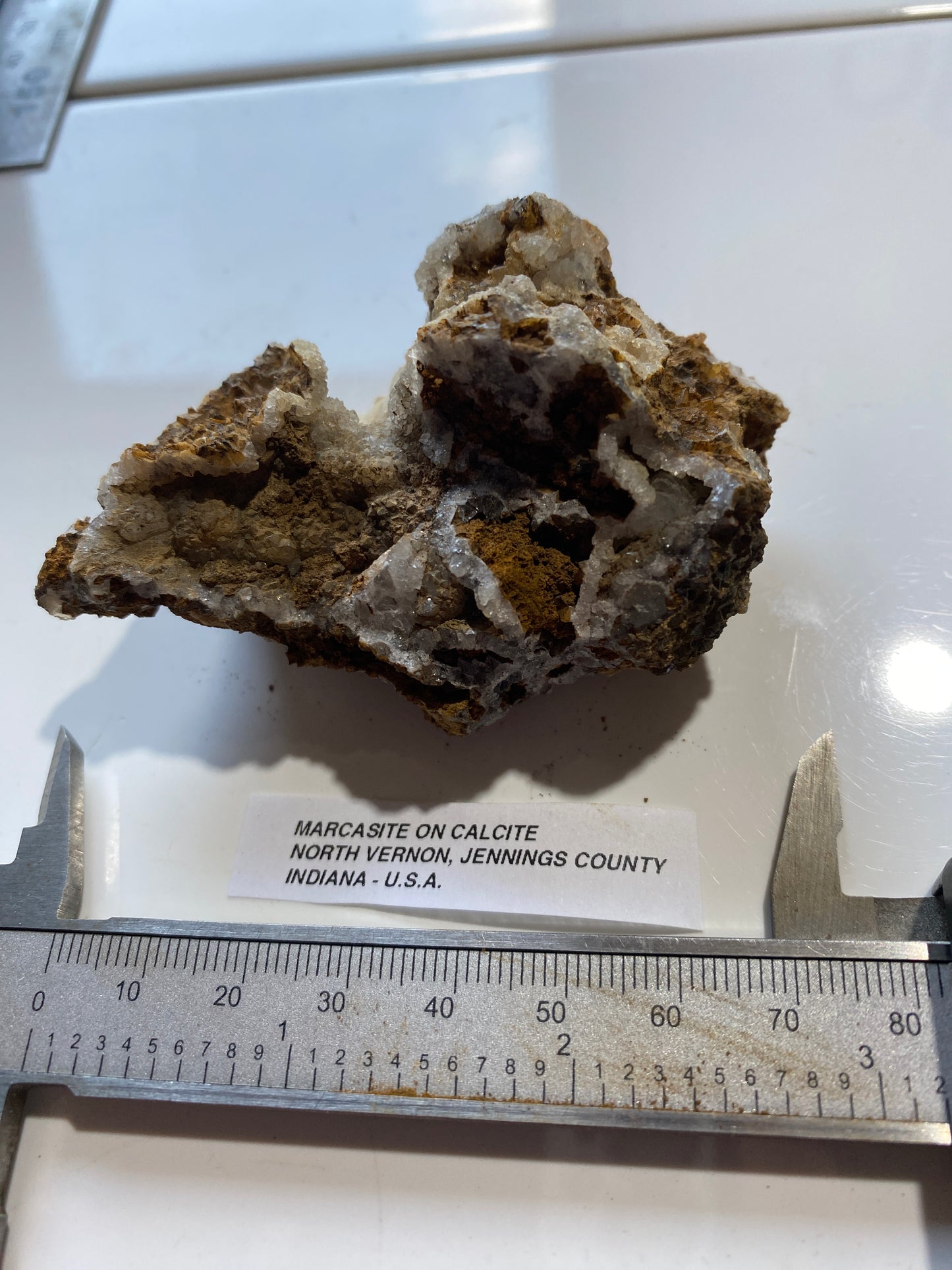 MARCASITE ON CALCITE UNUSUAL SPECIMEN FROM NORTH VERNON, INDIANA U.S.A. 77g MF5174