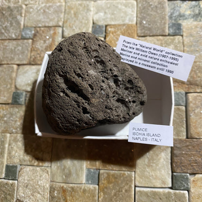 PUMICE VOLCANIC EJECTA : ISCHIA ISLAND, NAPLES, ITALY. 34g MF4530