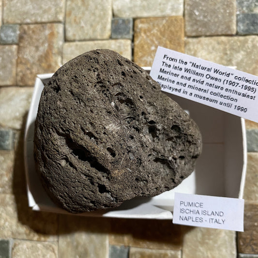 PUMICE VOLCANIC EJECTA : ISCHIA ISLAND, NAPLES, ITALY. 34g MF4530