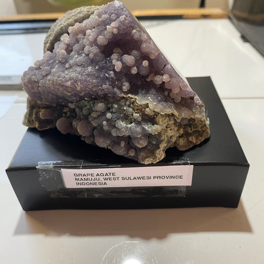"GRAPE" AGATE : MAMAJU, WEST SULAWESI PROVINCE, INDONESIA 341g MF4531