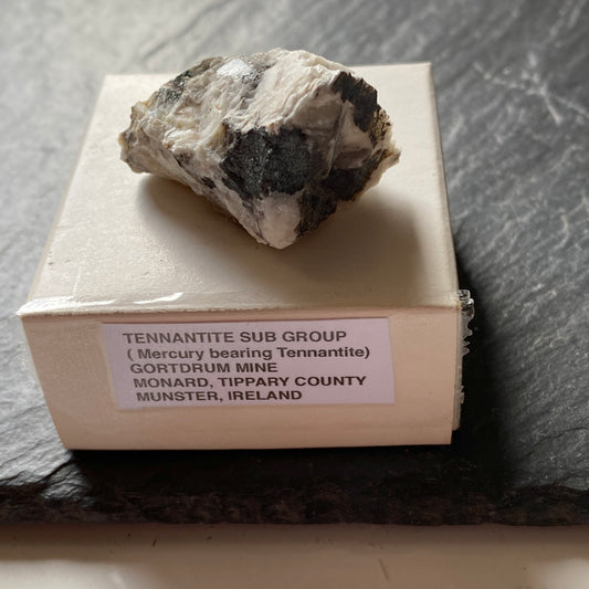 TENNANTITE SUB GROUP (Mercury bearing Tennantite) FROM GORTDRUM MINE, IRELAND 19g MF1956