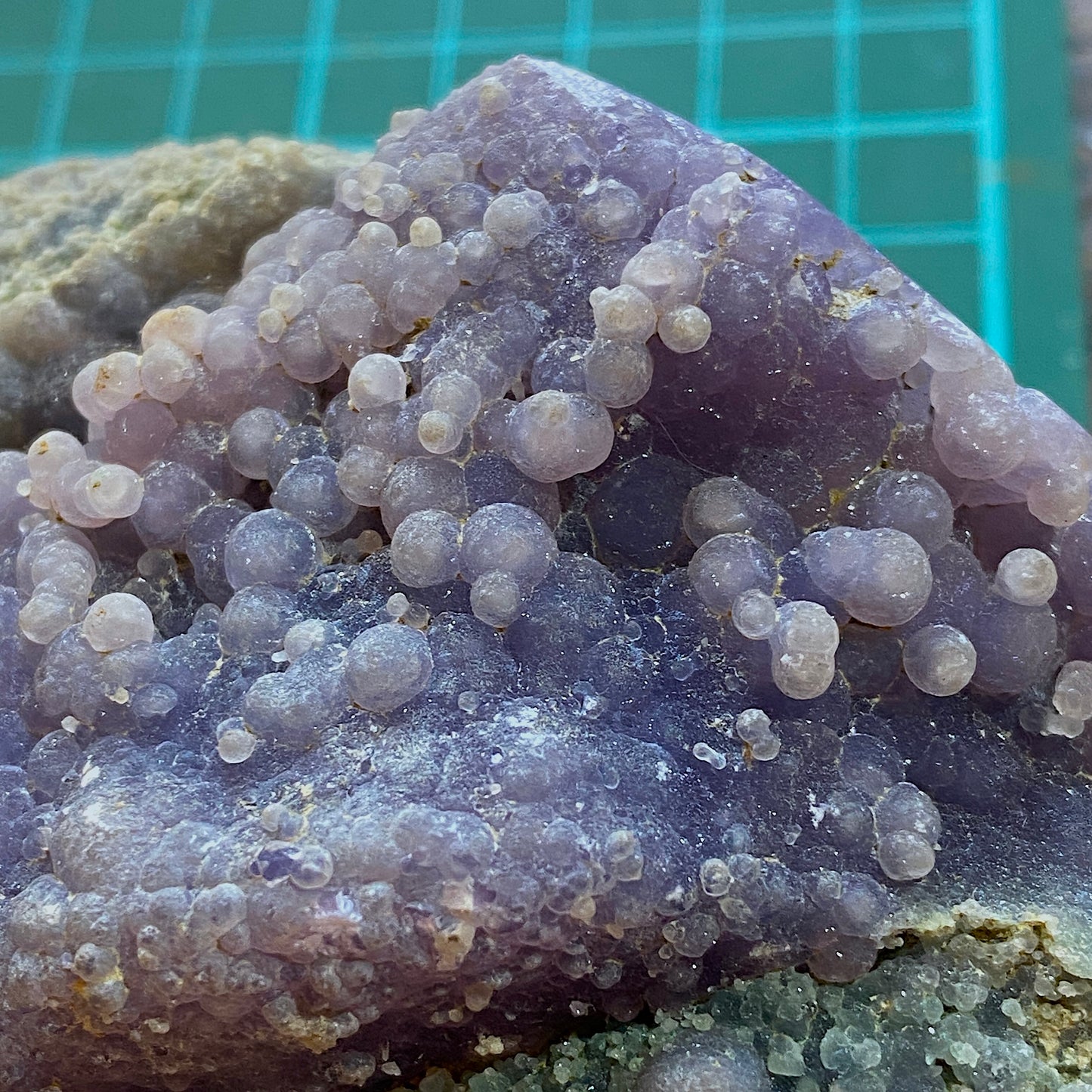 "GRAPE" AGATE : MAMAJU, WEST SULAWESI PROVINCE, INDONESIA 341g MF4531