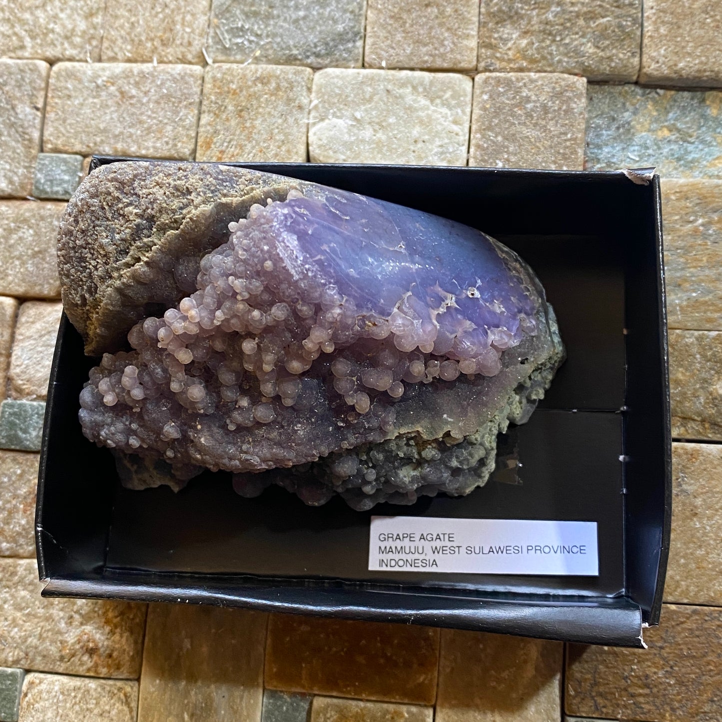 "GRAPE" AGATE : MAMAJU, WEST SULAWESI PROVINCE, INDONESIA 341g MF4531
