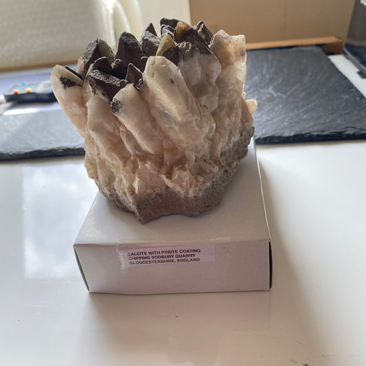 DOG TOOTH CALCITE WITH PYRITE COATING, CHIPPING SODBURY, ENGLAND LARGE 955g MF1958