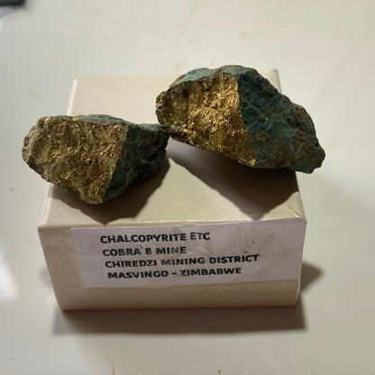 CHALCOPYRITE/MALACHITE : COBRA 8 MINE, CHIREDZI MINING DISTRICT, ZIMBABWE 42g MF4535