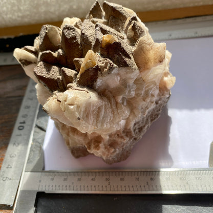 DOG TOOTH CALCITE WITH PYRITE COATING, CHIPPING SODBURY, ENGLAND LARGE 955g MF1958