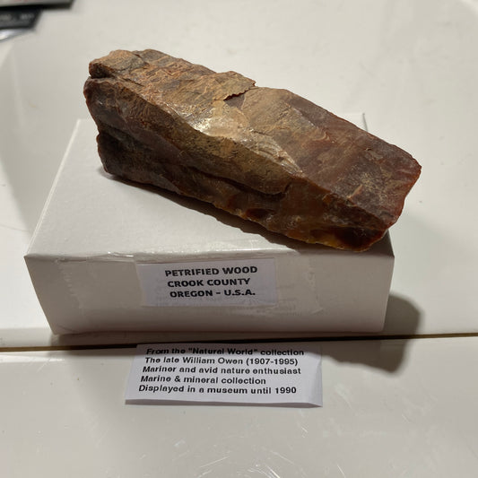 PETRIFIED WOOD : CROOK COUNTY, OREGON, U.S.A. 63g MF4536