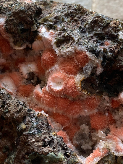 THOMSONITE WITH MESOLITE IMPRESSIVE SPECIMEN : RAISEN, MADHYA PRADESH, INDIA 437g MF5182
