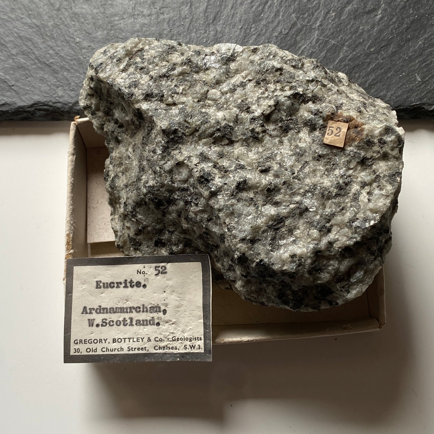 EUCRITE [GABBRO INTRUSIVE] FROM ARDNAMURCHAN, WEST HIGHLANDS 579g MF1990