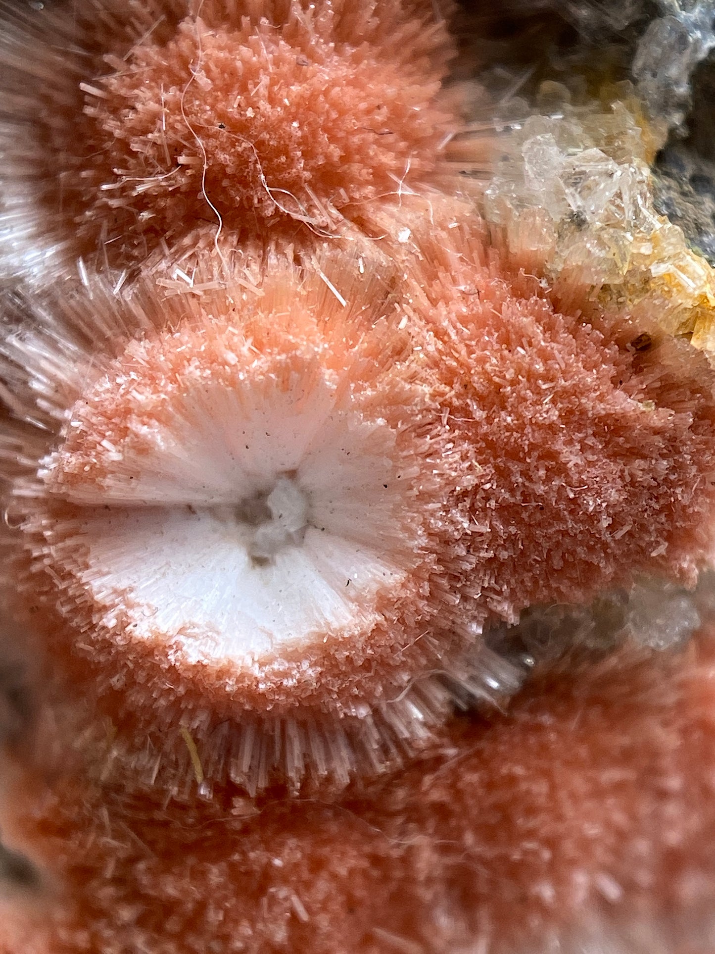 THOMSONITE WITH MESOLITE IMPRESSIVE SPECIMEN : RAISEN, MADHYA PRADESH, INDIA 437g MF5182