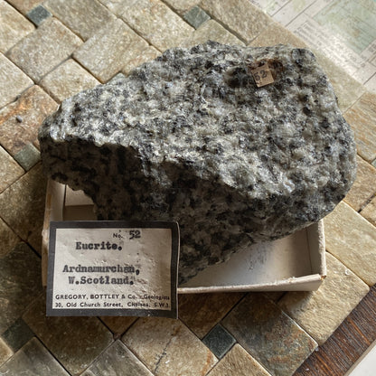 EUCRITE [GABBRO INTRUSIVE] FROM ARDNAMURCHAN, WEST HIGHLANDS 579g MF1990