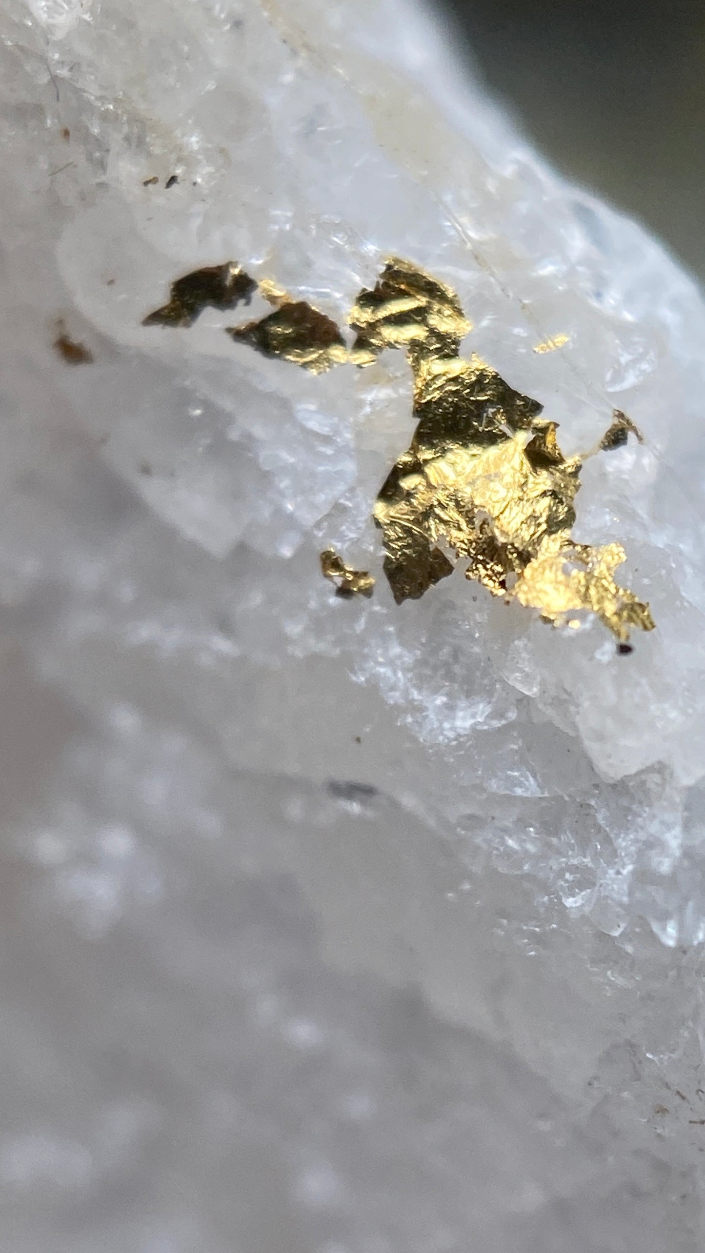 NATIVE GOLD ON QUARTZ : WITWATERSRAND, SOUTH AFRICA. 21g MF5183