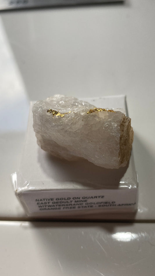 NATIVE GOLD ON QUARTZ : WITWATERSRAND, SOUTH AFRICA. 21g MF5183