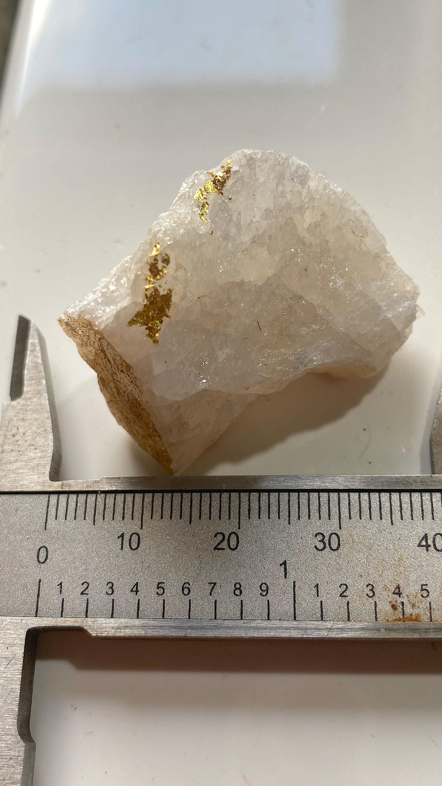 NATIVE GOLD ON QUARTZ : WITWATERSRAND, SOUTH AFRICA. 21g MF5183