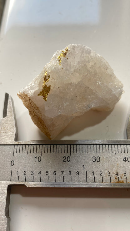 NATIVE GOLD ON QUARTZ : WITWATERSRAND, SOUTH AFRICA. 21g MF5183