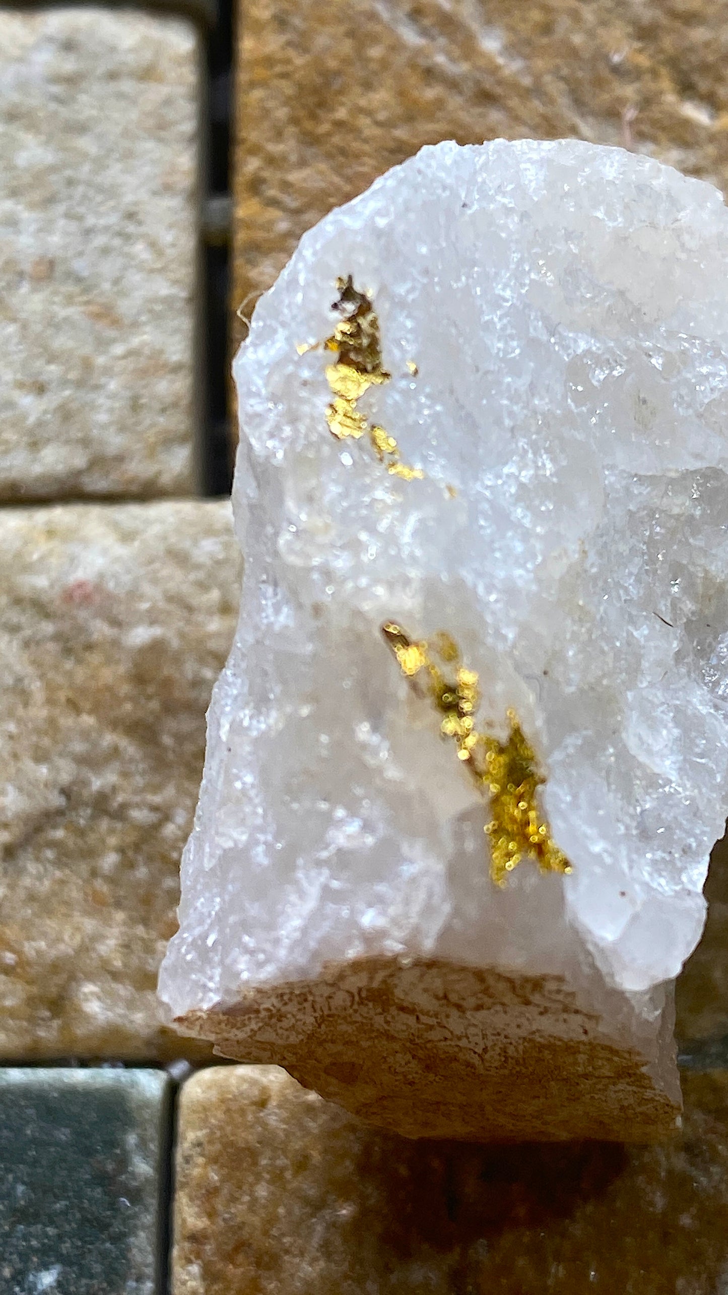 NATIVE GOLD ON QUARTZ : WITWATERSRAND, SOUTH AFRICA. 21g MF5183