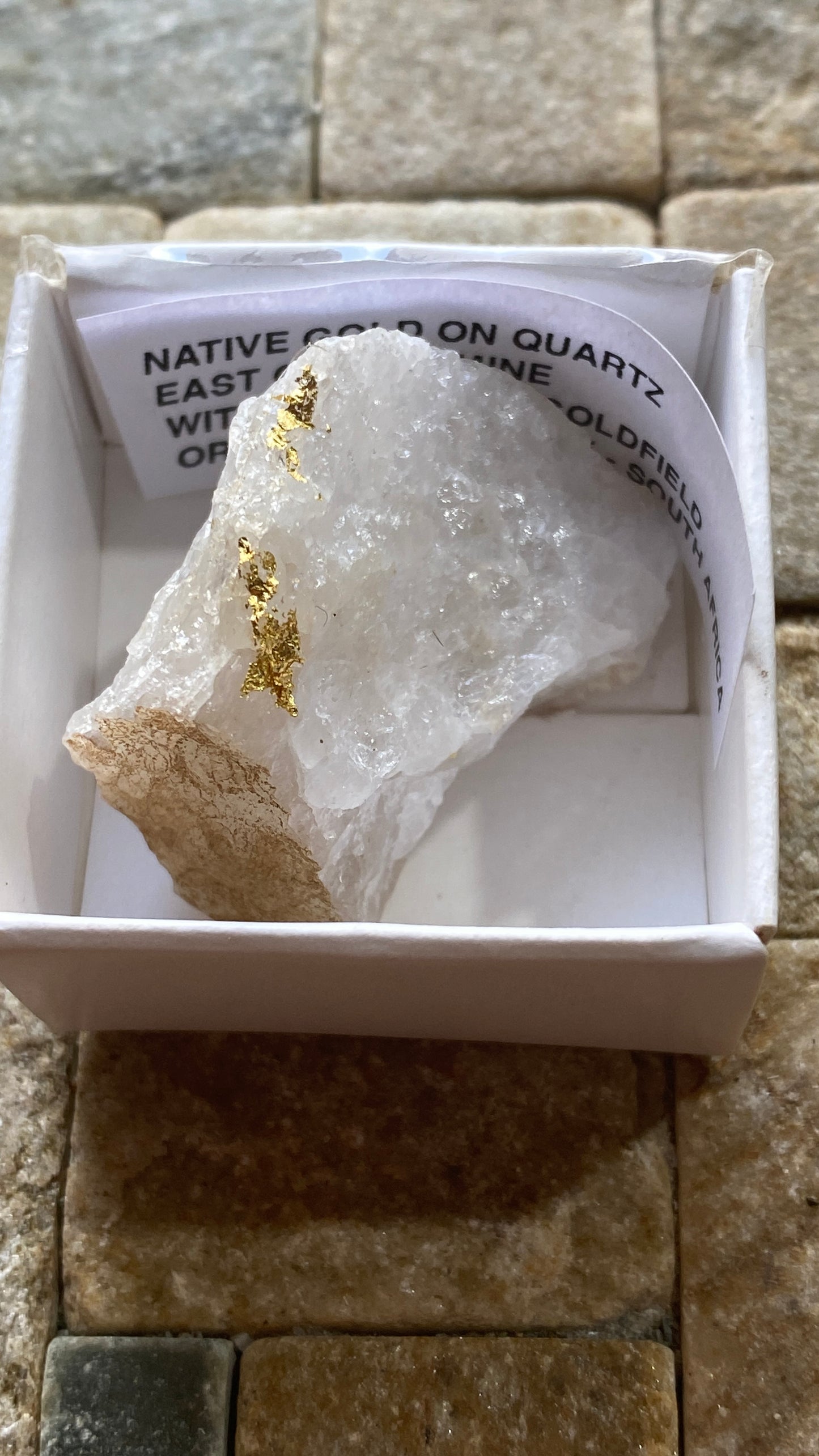 NATIVE GOLD ON QUARTZ : WITWATERSRAND, SOUTH AFRICA. 21g MF5183