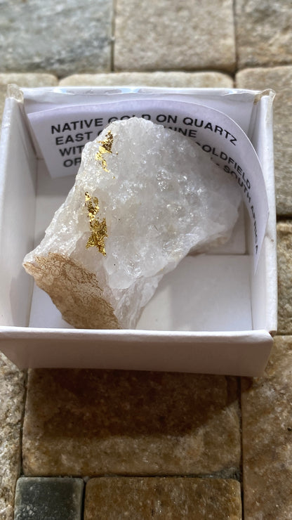 NATIVE GOLD ON QUARTZ : WITWATERSRAND, SOUTH AFRICA. 21g MF5183