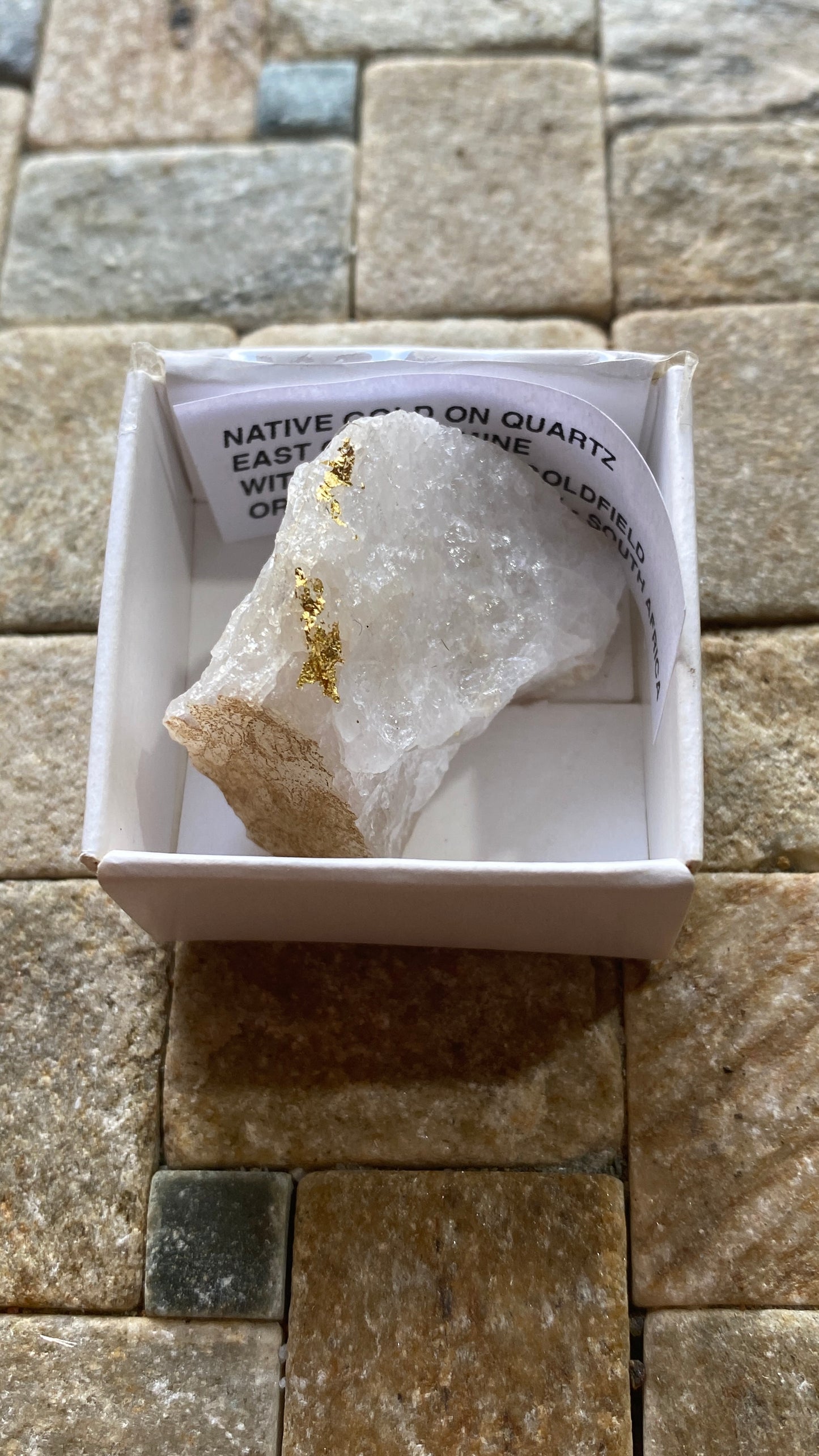 NATIVE GOLD ON QUARTZ : WITWATERSRAND, SOUTH AFRICA. 21g MF5183