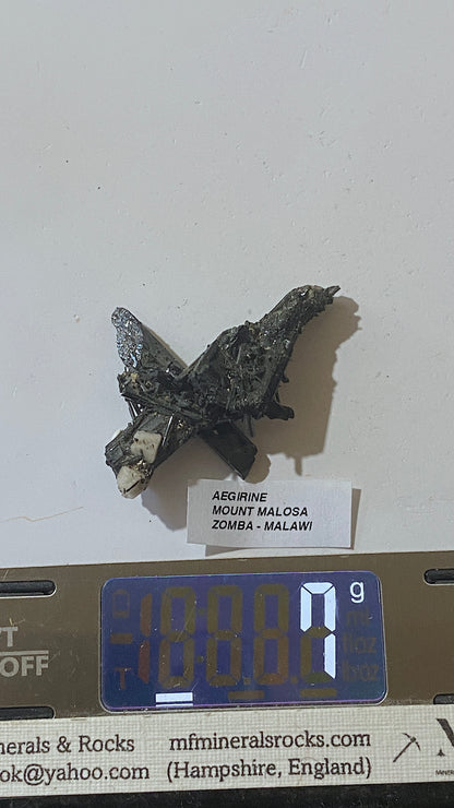 AEGIRINE : MOUNT MALOSA, ZOMBA, MALAWI. 7g MF5185