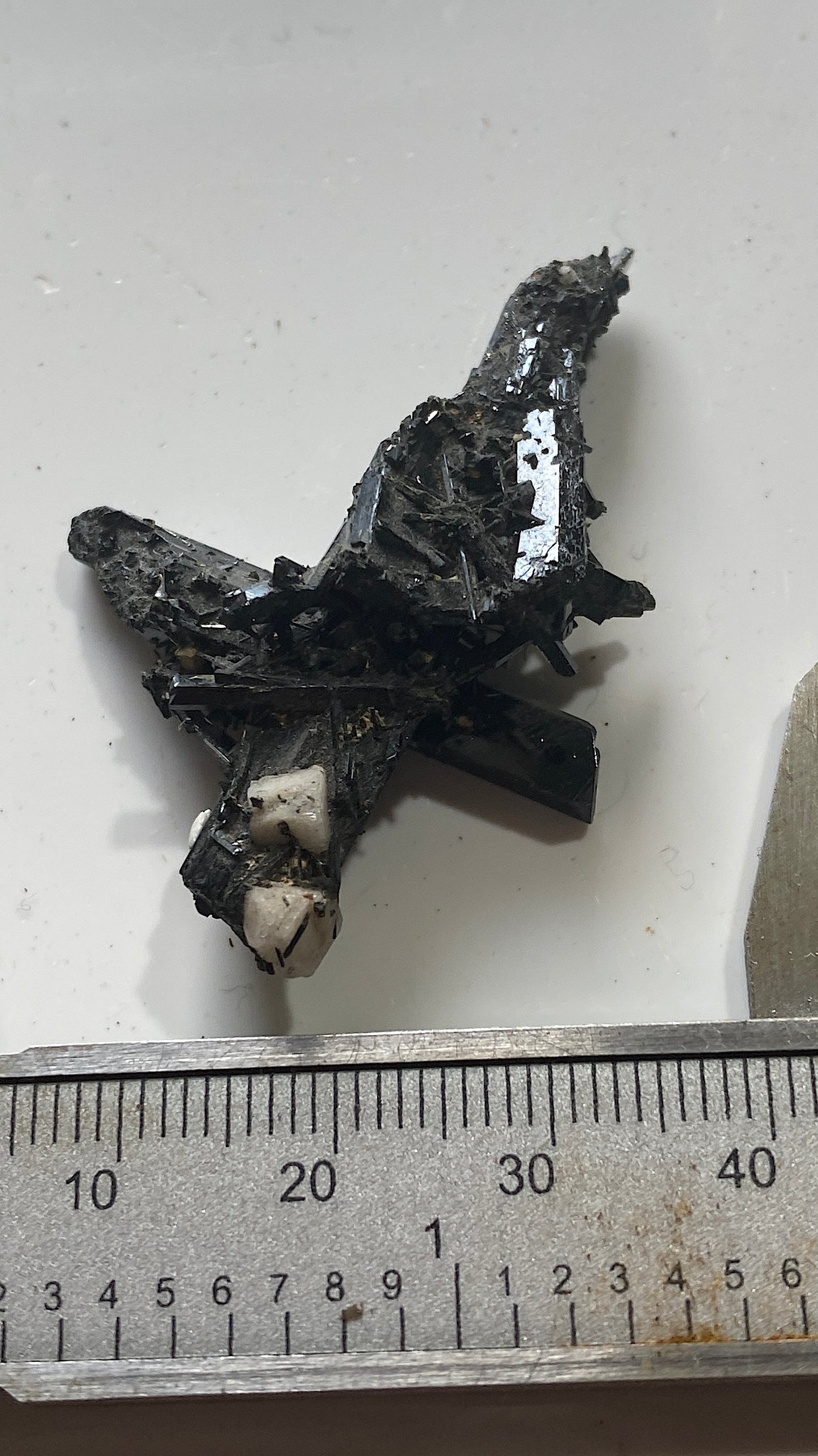 AEGIRINE : MOUNT MALOSA, ZOMBA, MALAWI. 7g MF5185