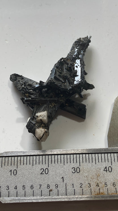 AEGIRINE : MOUNT MALOSA, ZOMBA, MALAWI. 7g MF5185