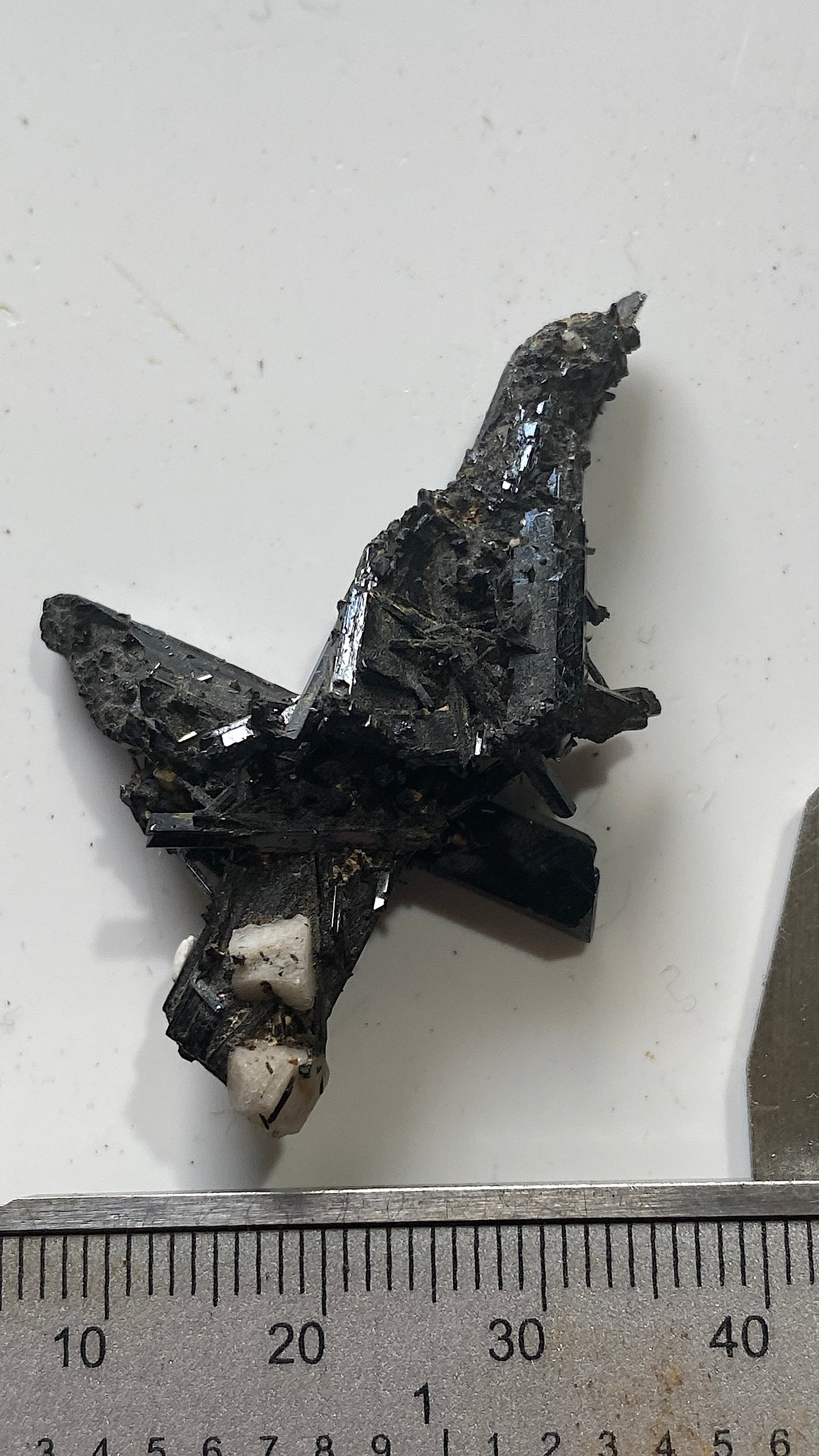 AEGIRINE : MOUNT MALOSA, ZOMBA, MALAWI. 7g MF5185