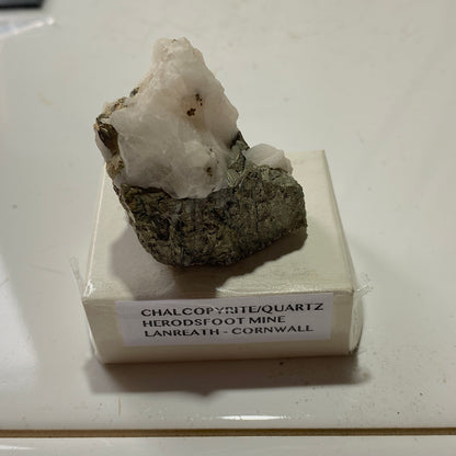 CHALCOPYRITE ON QUARTZ : HERODSFOOT MINE, CORNWALL, ENGLAND 45g MF4547