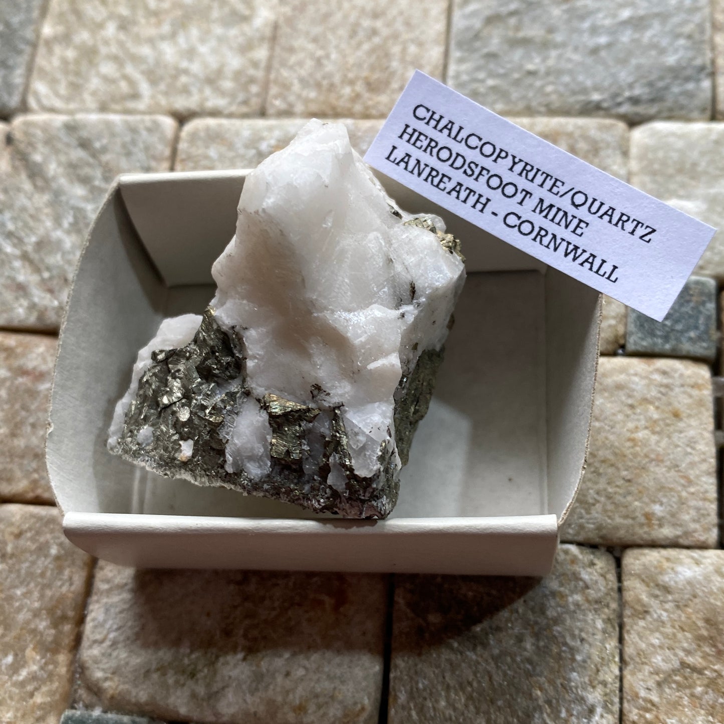 CHALCOPYRITE ON QUARTZ : HERODSFOOT MINE, CORNWALL, ENGLAND 45g MF4547