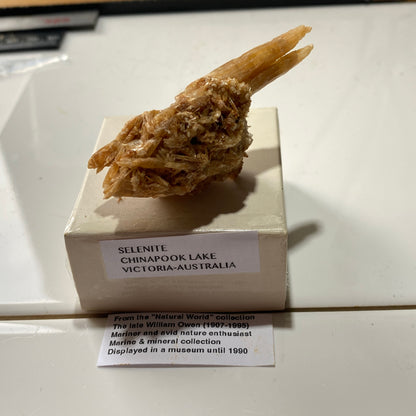 SELENITE : CHINAPOOK LAKE, VICTORIA, AUSTRALIA 15g MF4549