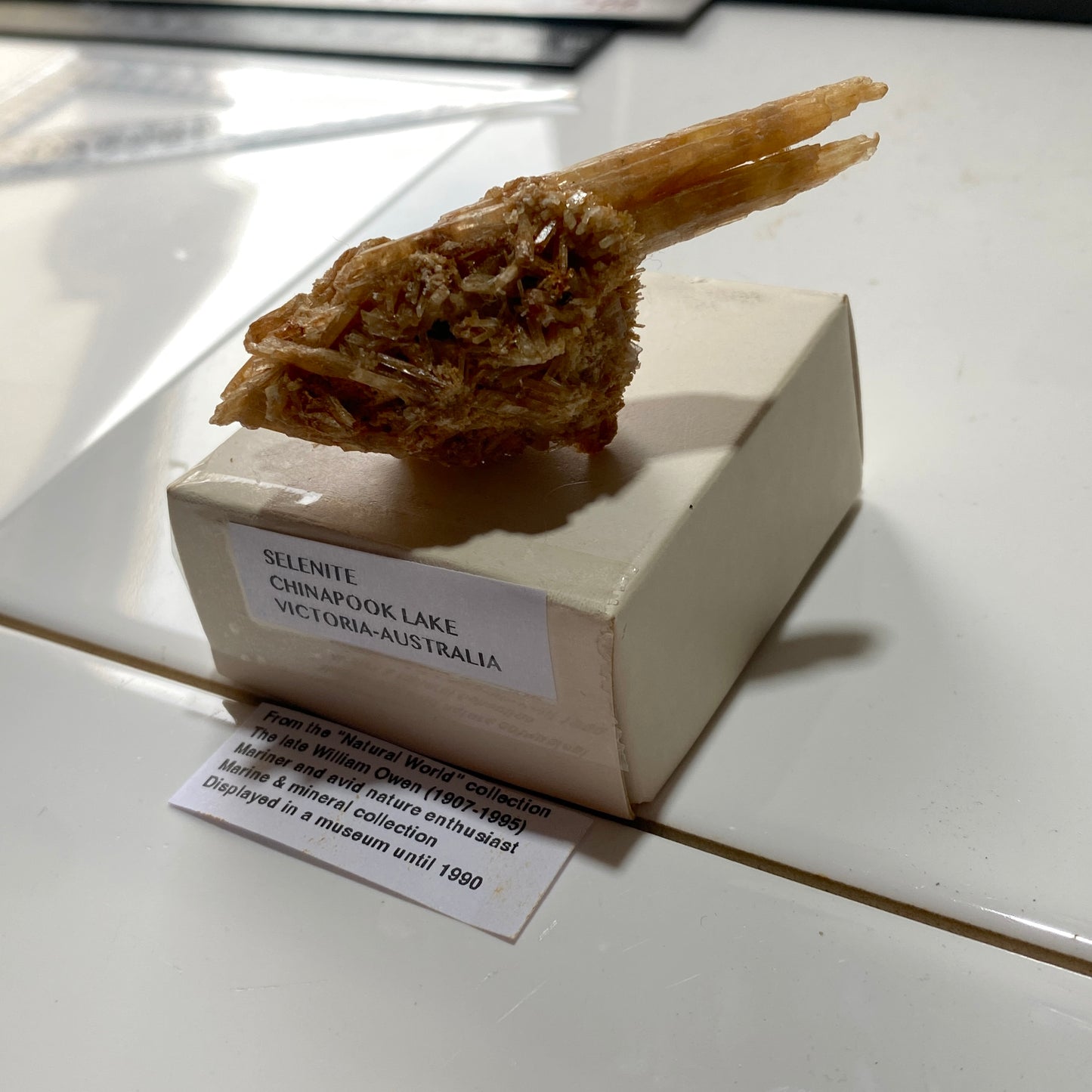 SELENITE : CHINAPOOK LAKE, VICTORIA, AUSTRALIA 15g MF4549