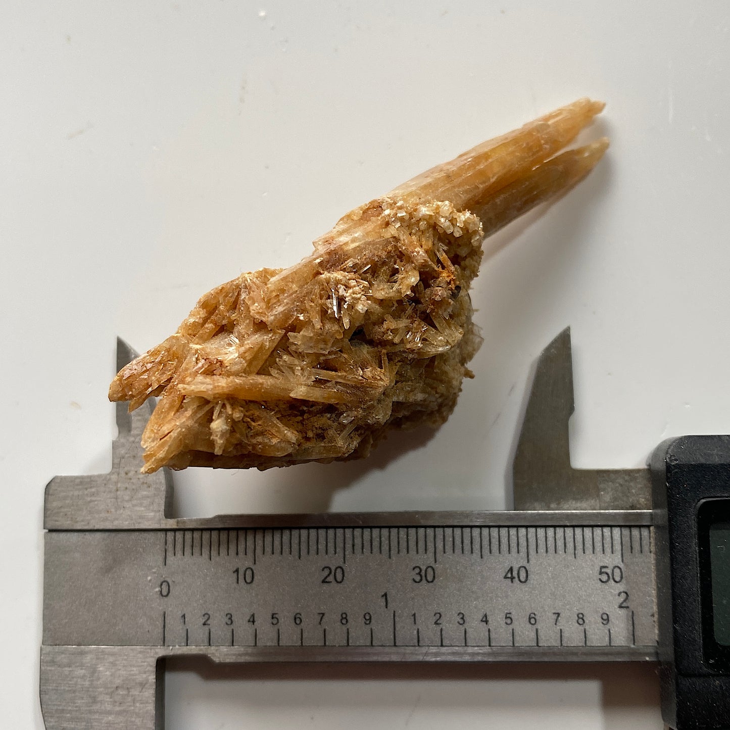 SELENITE : CHINAPOOK LAKE, VICTORIA, AUSTRALIA 15g MF4549