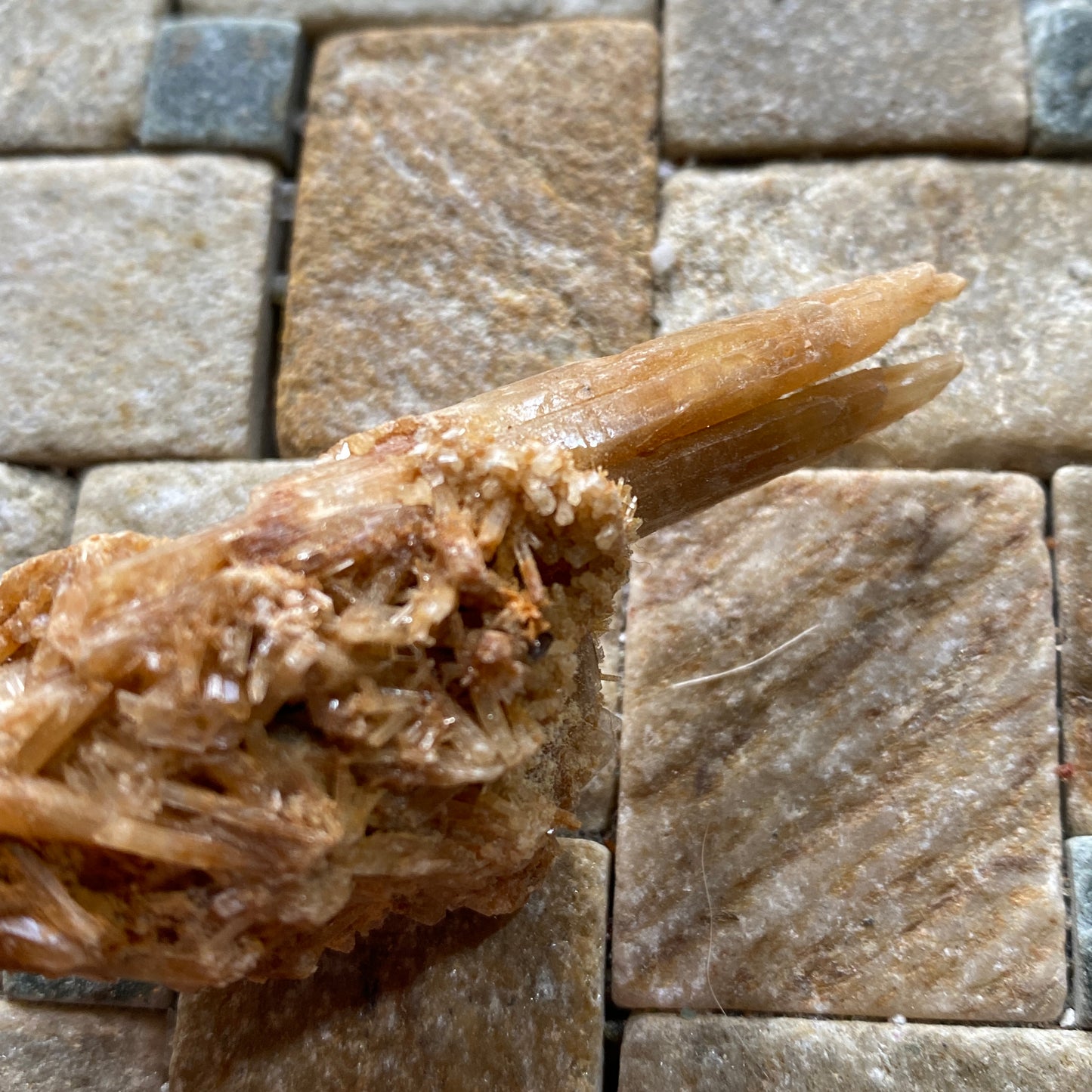 SELENITE : CHINAPOOK LAKE, VICTORIA, AUSTRALIA 15g MF4549