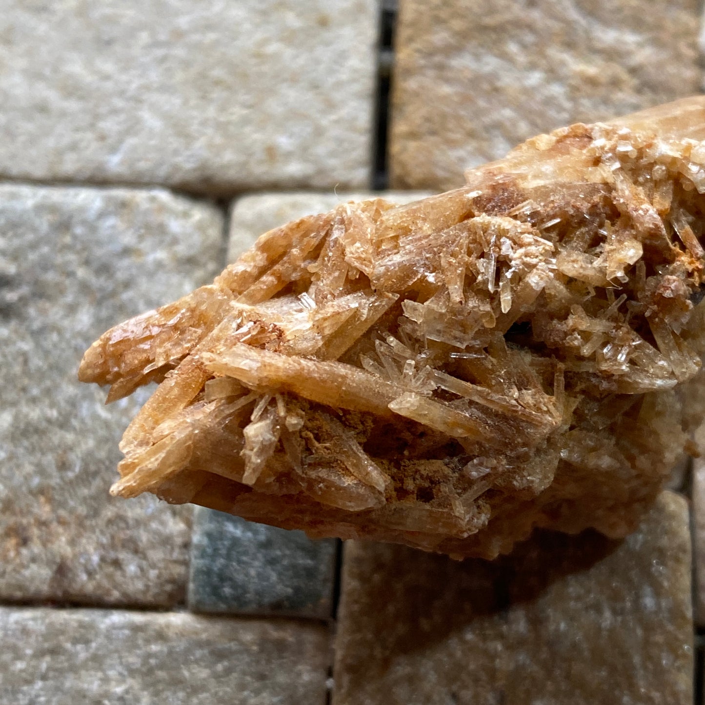 SELENITE : CHINAPOOK LAKE, VICTORIA, AUSTRALIA 15g MF4549