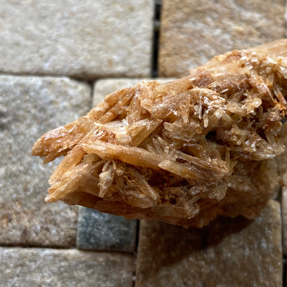 SELENITE : CHINAPOOK LAKE, VICTORIA, AUSTRALIA 15g MF4549