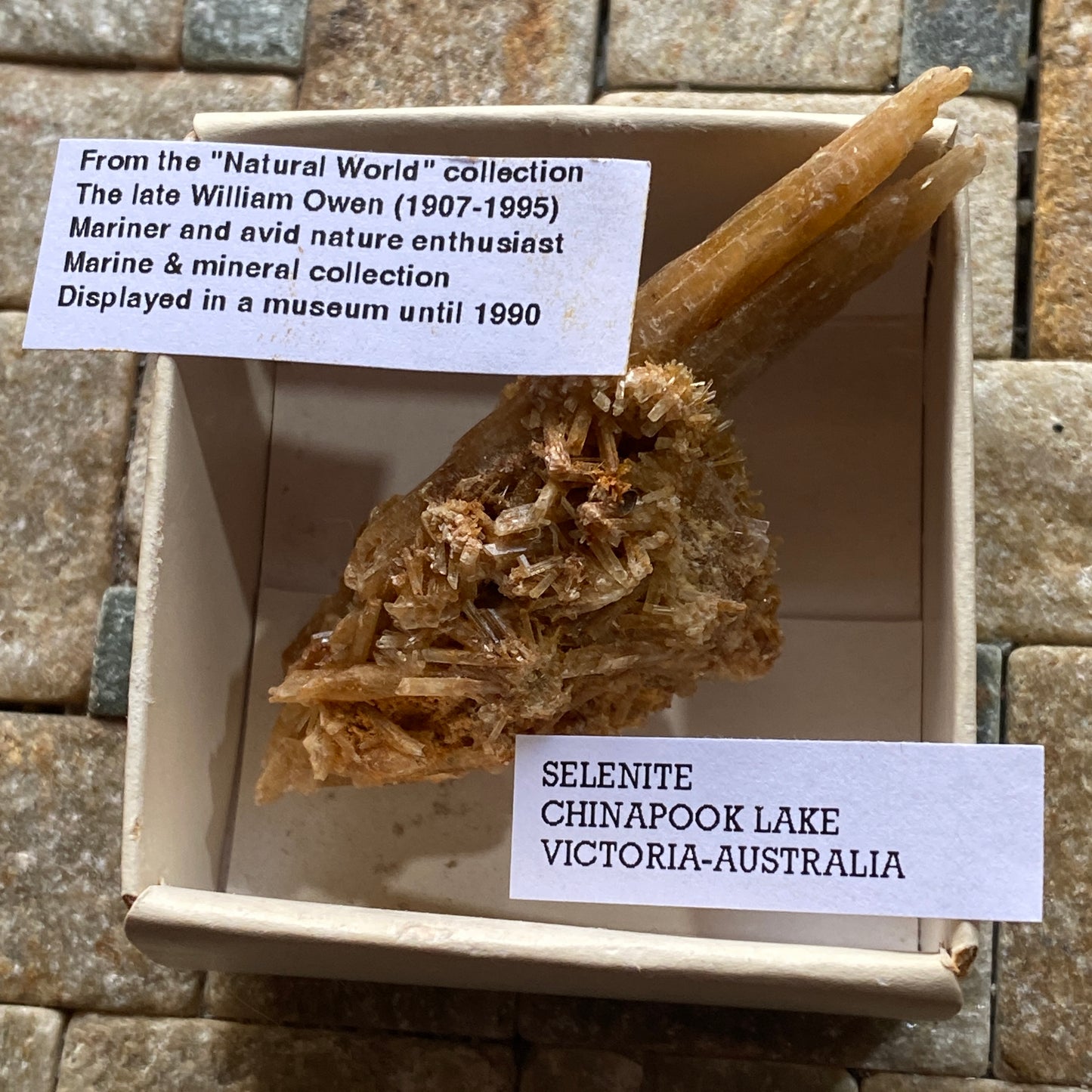 SELENITE : CHINAPOOK LAKE, VICTORIA, AUSTRALIA 15g MF4549