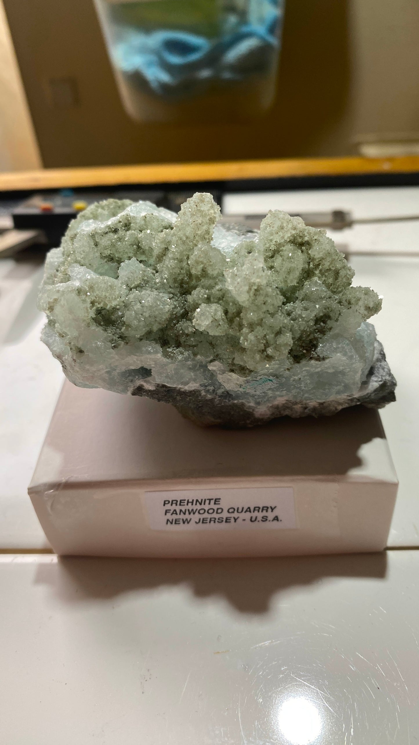 PREHNITE : FANWOOD QUARRY, WACHUNG, SOMERSET COUNTY, NEW JERSEY, U.S.A. 217g MF5191