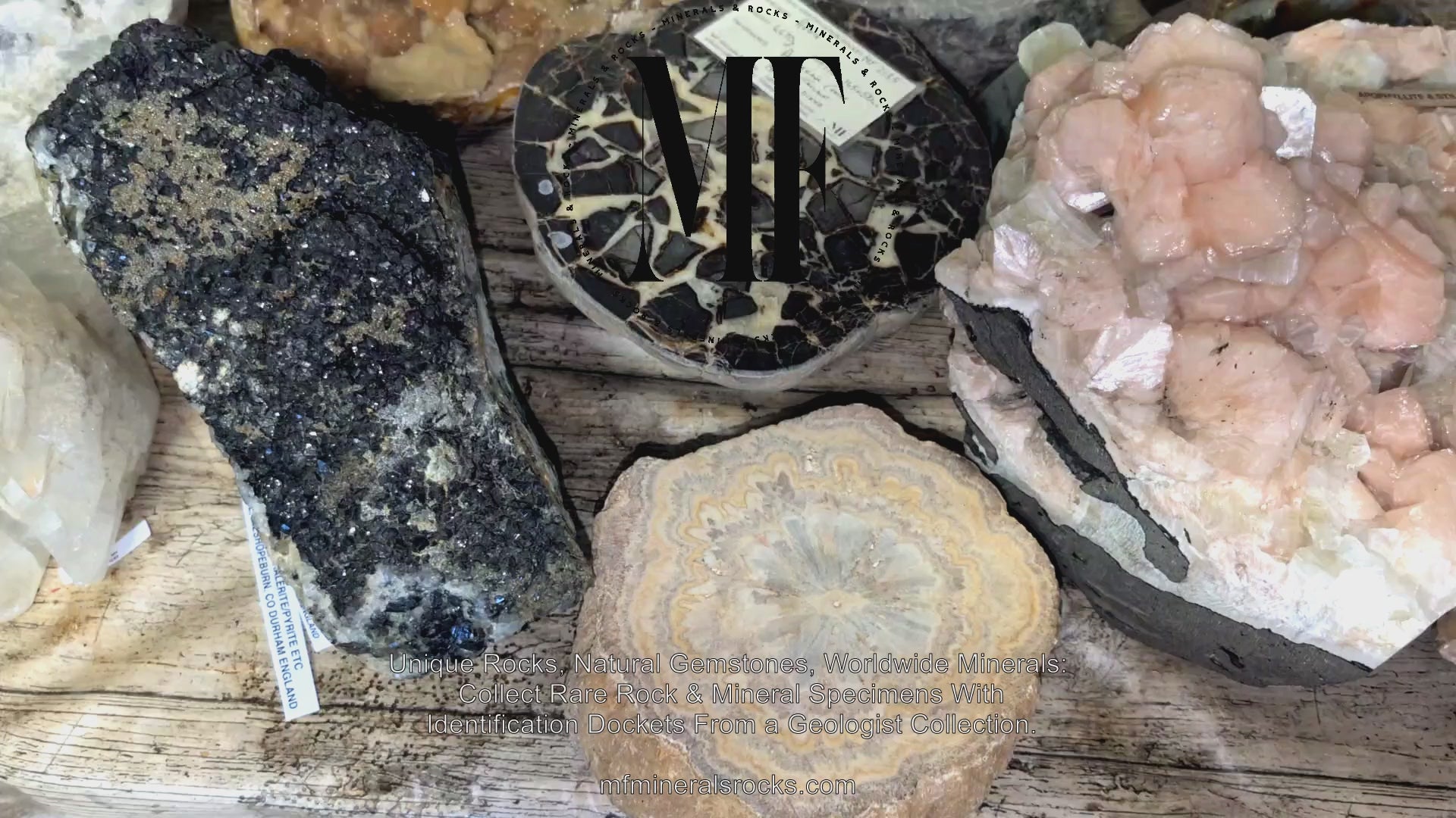 Charger la vidéo : Video of MF Minerals &amp; Rocks rock, mineral, gemstone, and fossil collection.